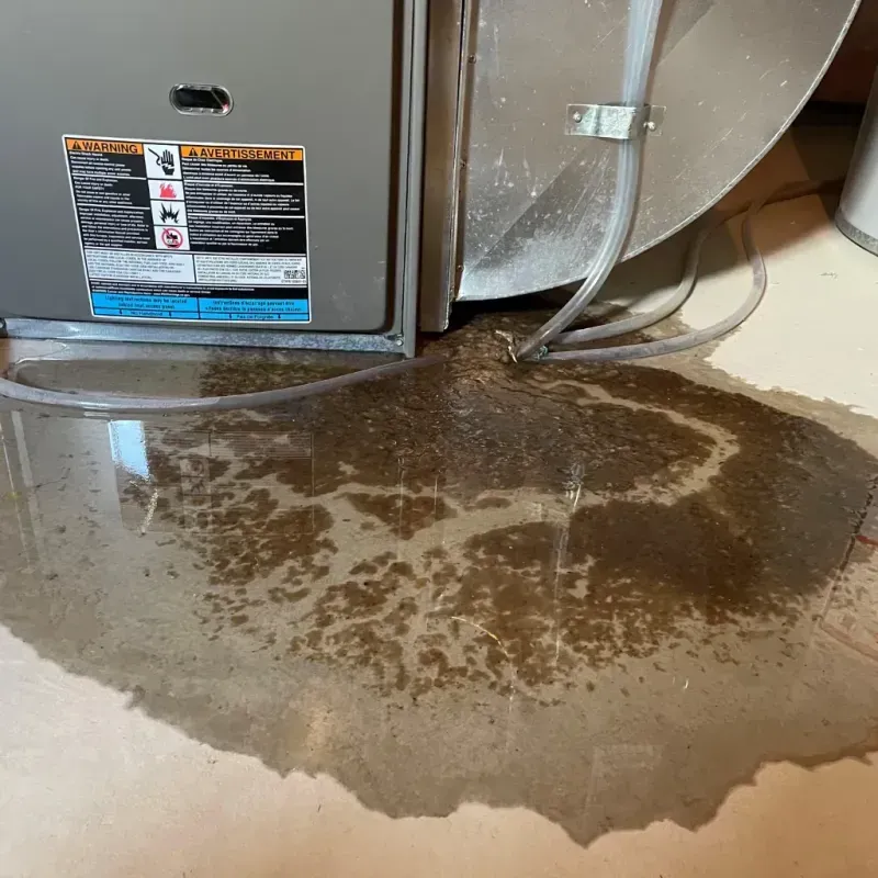 Appliance Leak Cleanup in Pleasant Garden, NC